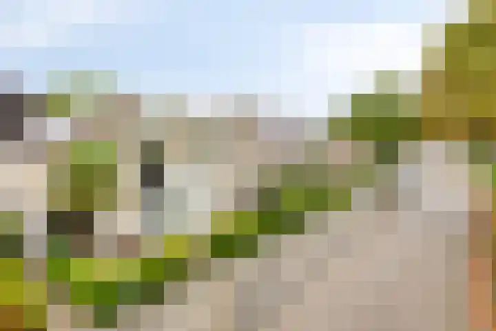 Esperenkamp 37 Eindhoven thumbnail 68