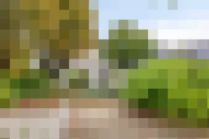 Esperenkamp 37 Eindhoven thumbnail 69