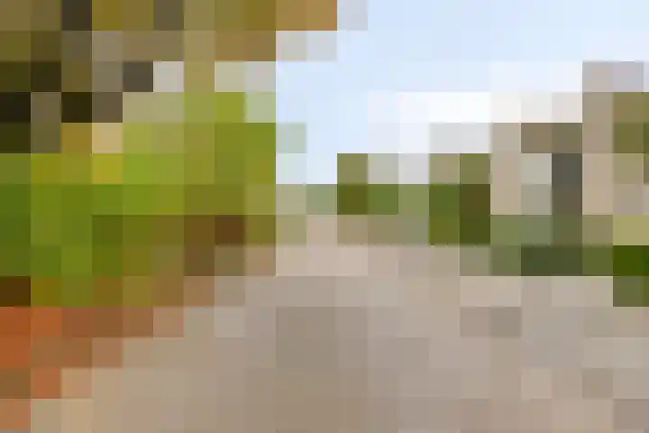 Esperenkamp 37 Eindhoven thumbnail 70
