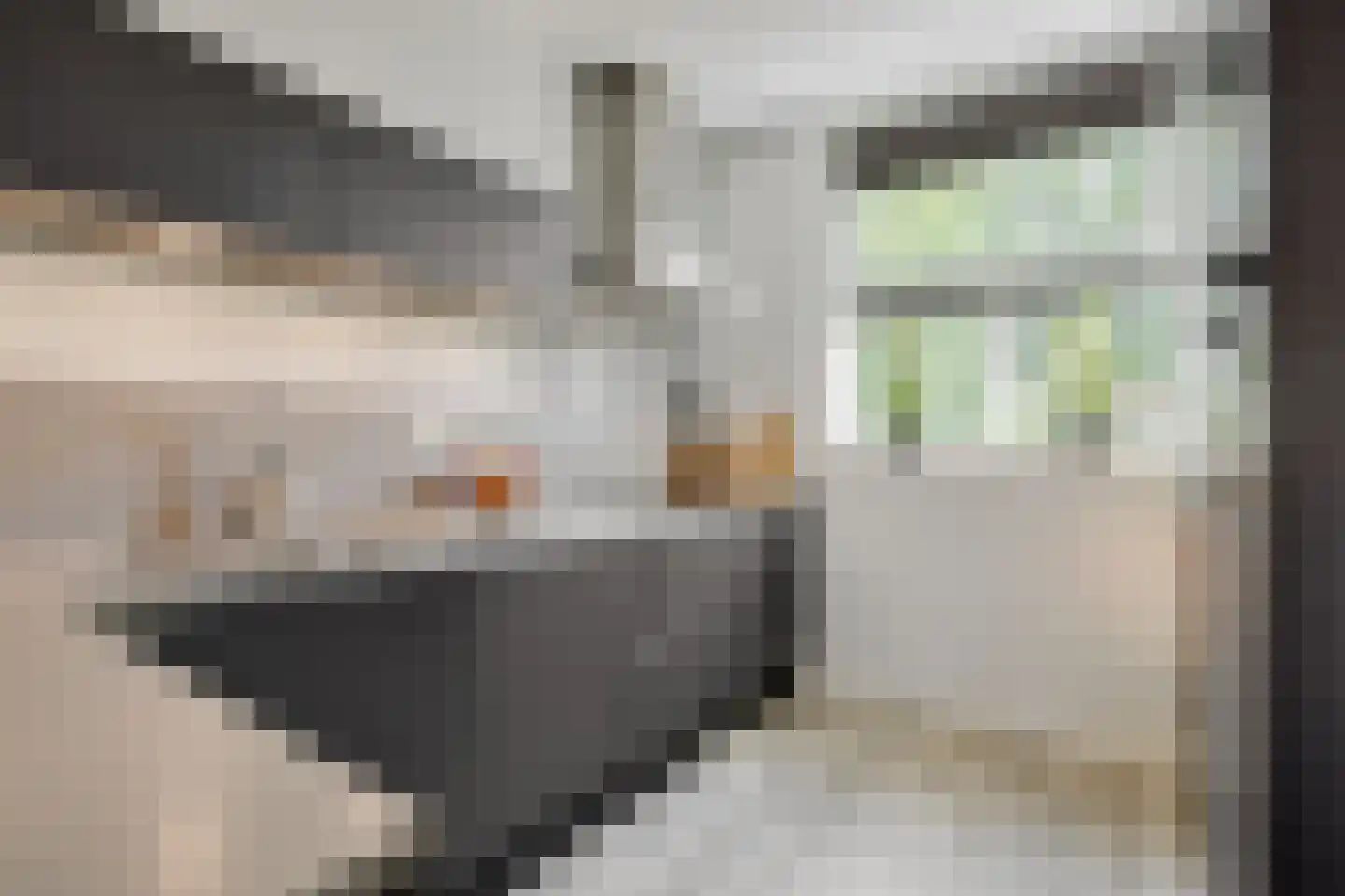 Esperloop 5 Heesch thumbnail 11
