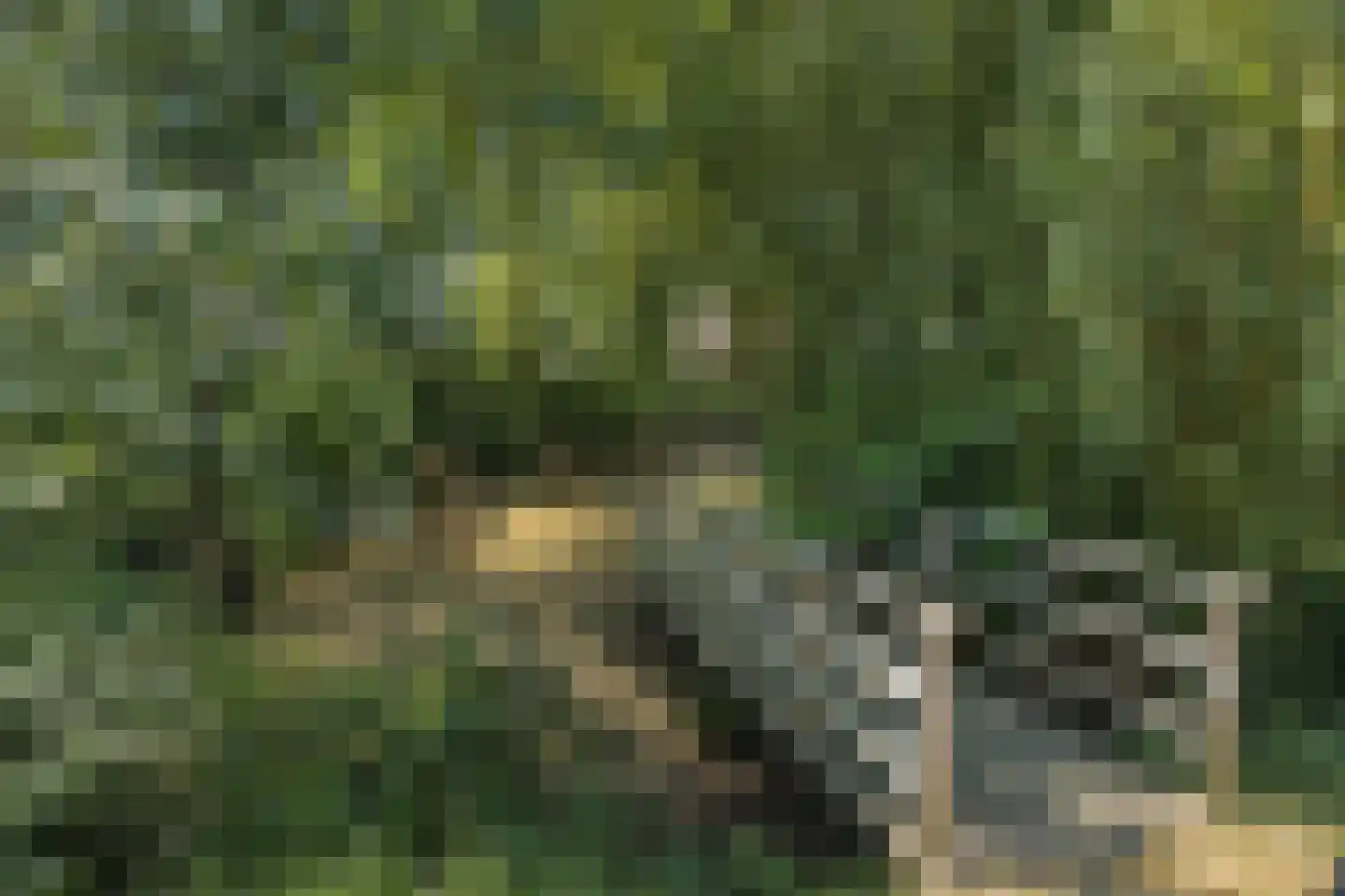 Esperloop 5 Heesch thumbnail 46