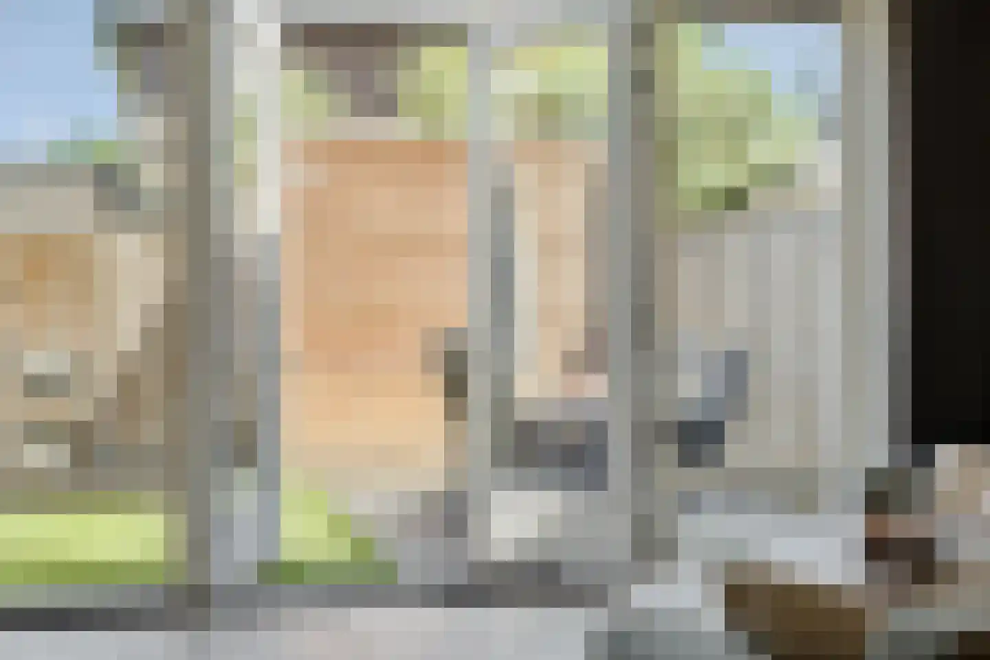 Esperloop 5 Heesch thumbnail 5