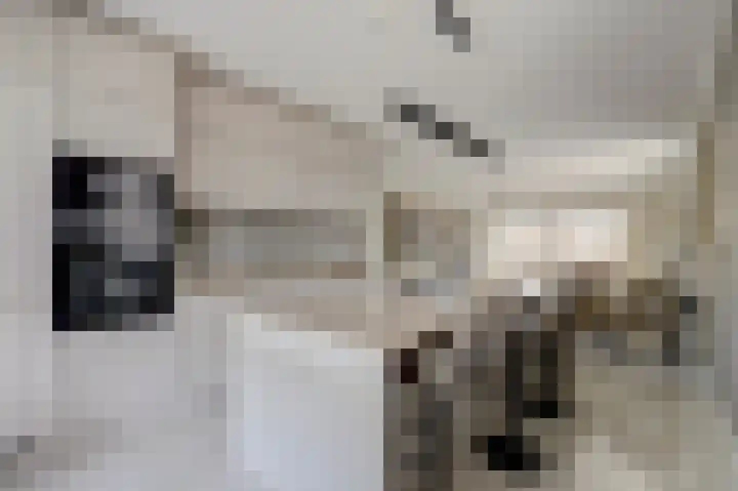 Esplanadapad 2 Hoogvliet Rotterdam thumbnail 10