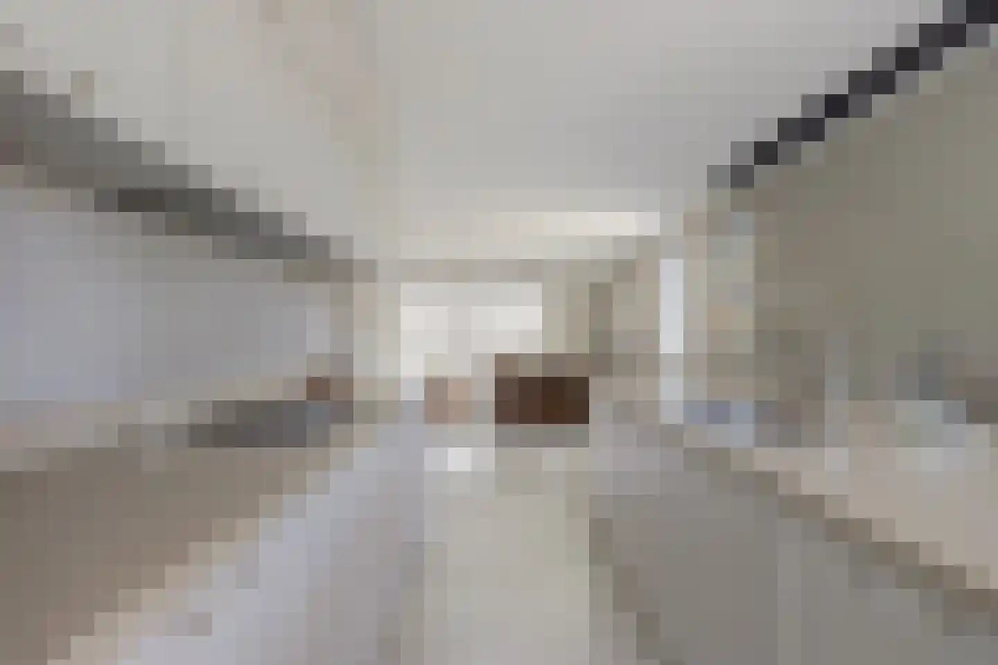 Esplanadapad 2 Hoogvliet Rotterdam thumbnail 12