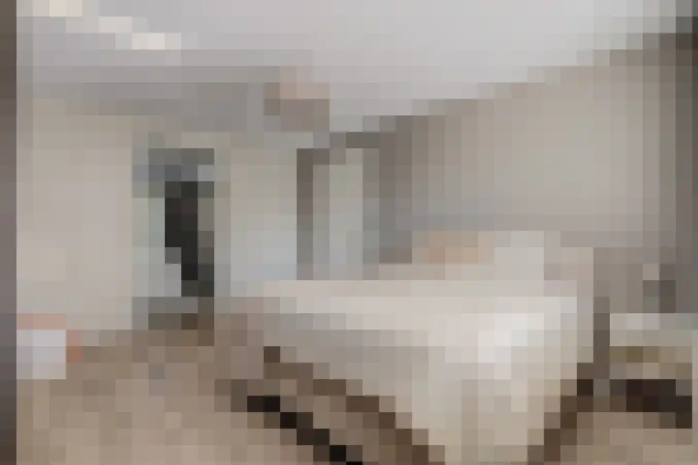 Esplanadapad 2 Hoogvliet Rotterdam thumbnail 18