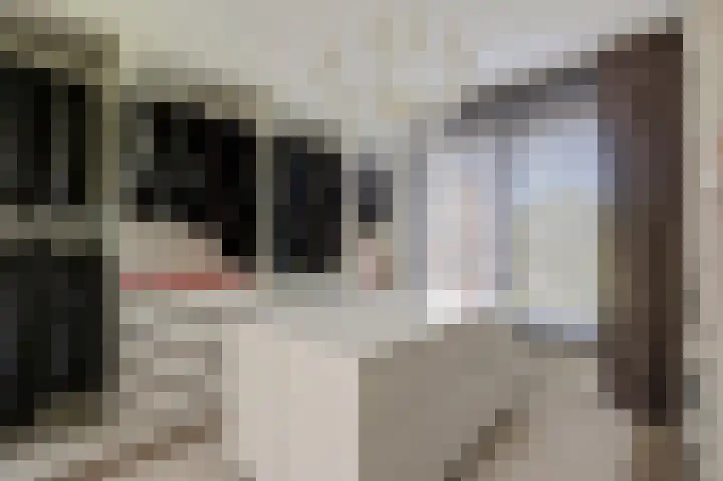 Esplanadapad 2 Hoogvliet Rotterdam thumbnail 20