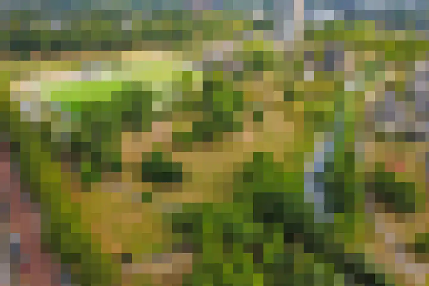 Esplanadapad 2 Hoogvliet Rotterdam thumbnail 42