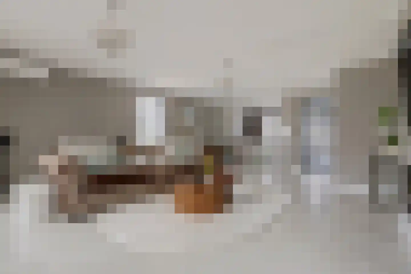 Esplanadapad 2 Hoogvliet Rotterdam thumbnail 5