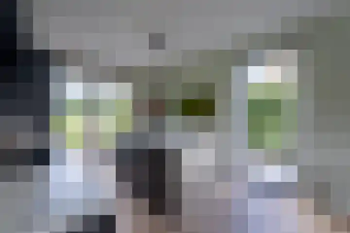 Esplanadapad 20 Hoogvliet Rotterdam thumbnail 19
