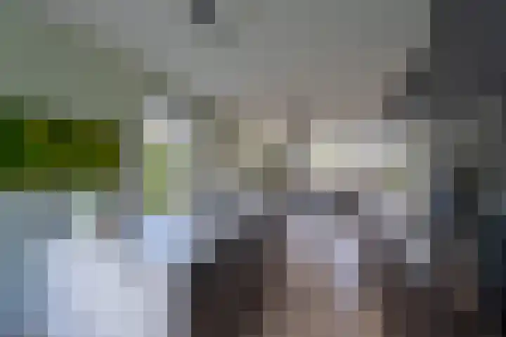 Esplanadapad 20 Hoogvliet Rotterdam thumbnail 22