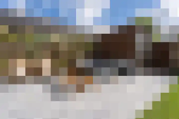 Esplanadapad 20 Hoogvliet Rotterdam thumbnail 25