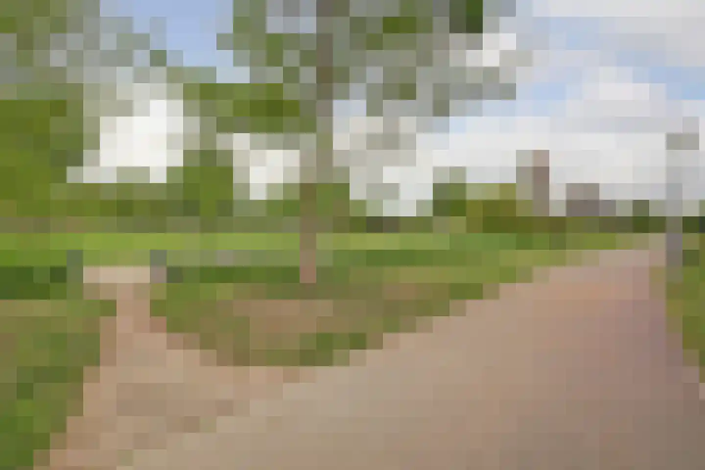 Esplanadapad 20 Hoogvliet Rotterdam thumbnail 44