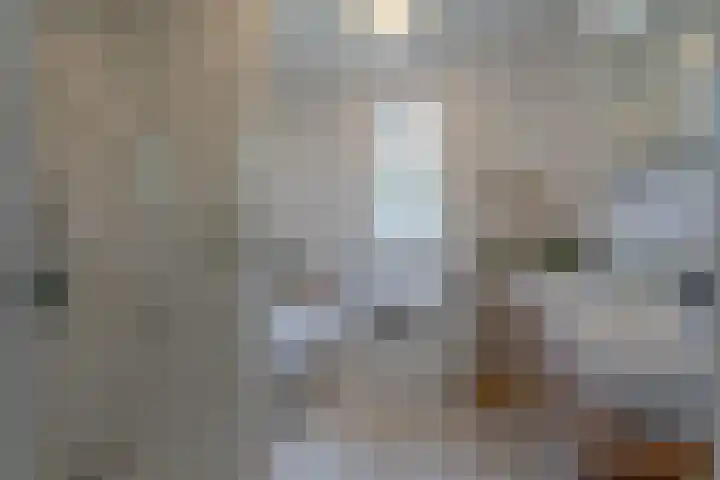 Esplanadapad 20 Hoogvliet Rotterdam thumbnail 5