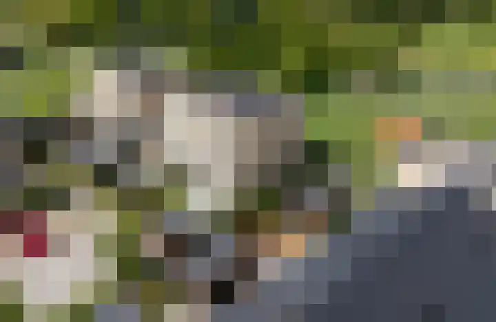 Esplanadapad 20 Hoogvliet Rotterdam thumbnail 6