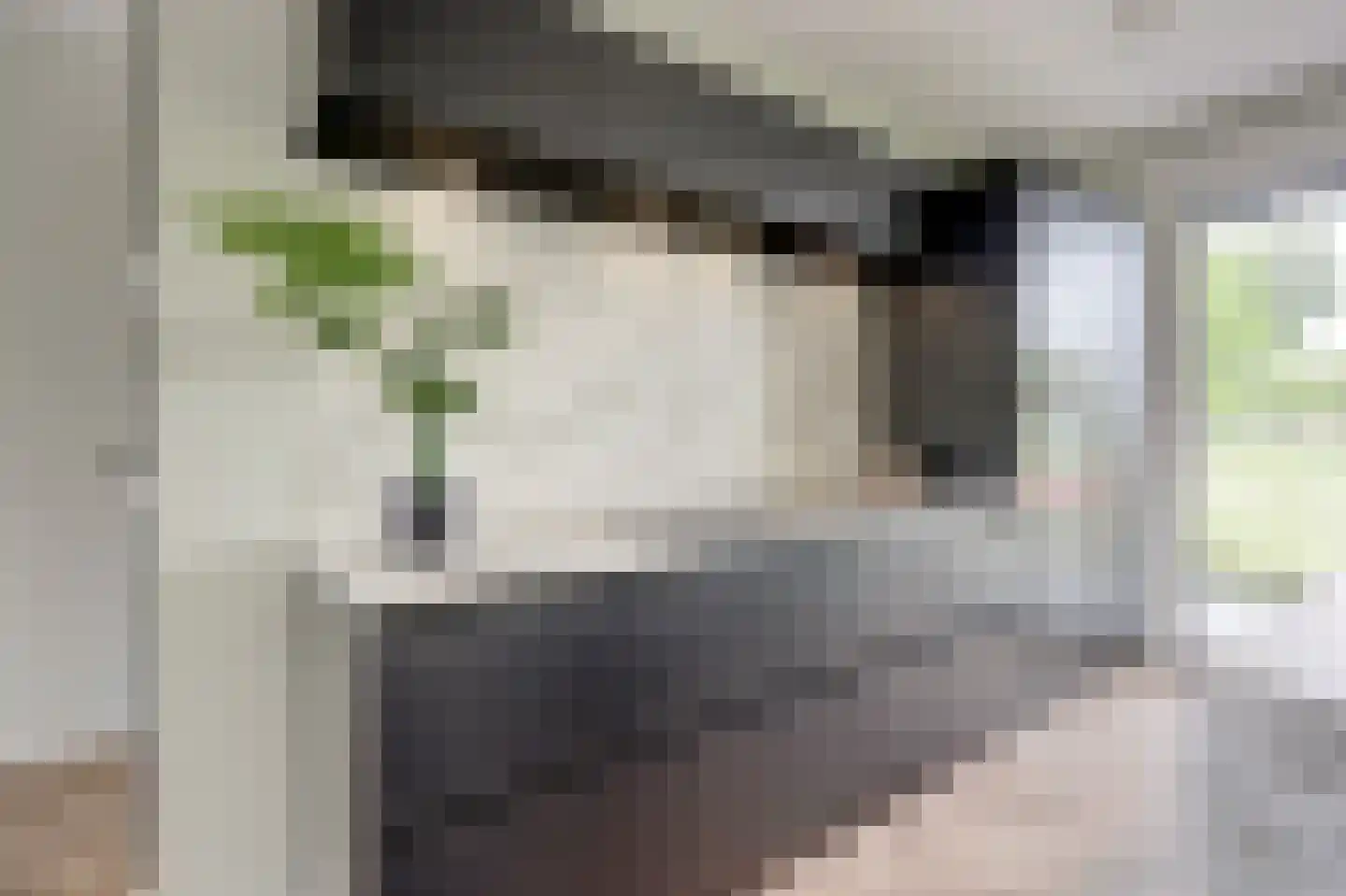Esplanadapad 20 Hoogvliet Rotterdam thumbnail 8