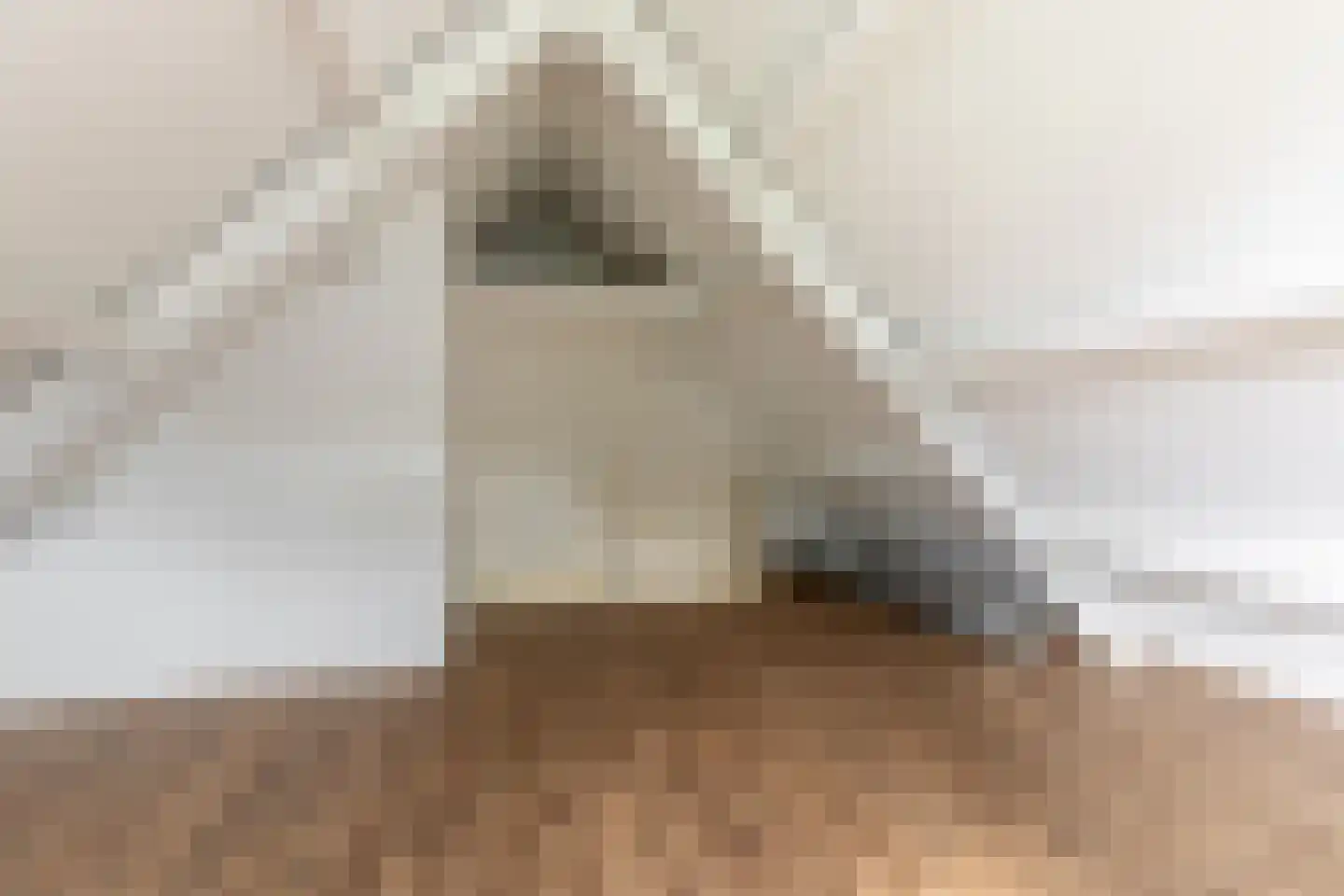 Esplanade 15 Hellevoetsluis thumbnail 39
