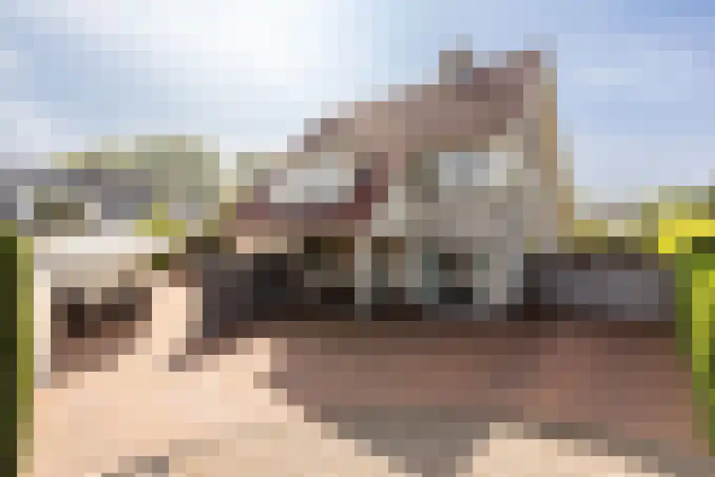 Esplanade 15 Hellevoetsluis thumbnail 5
