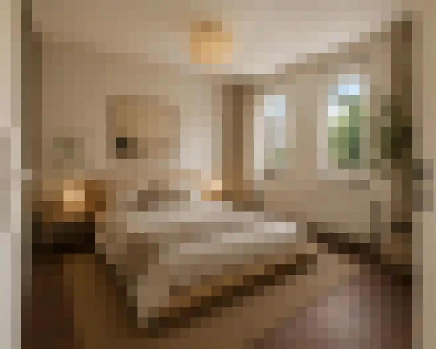 Esplanade de Meer 122 Amsterdam thumbnail 17