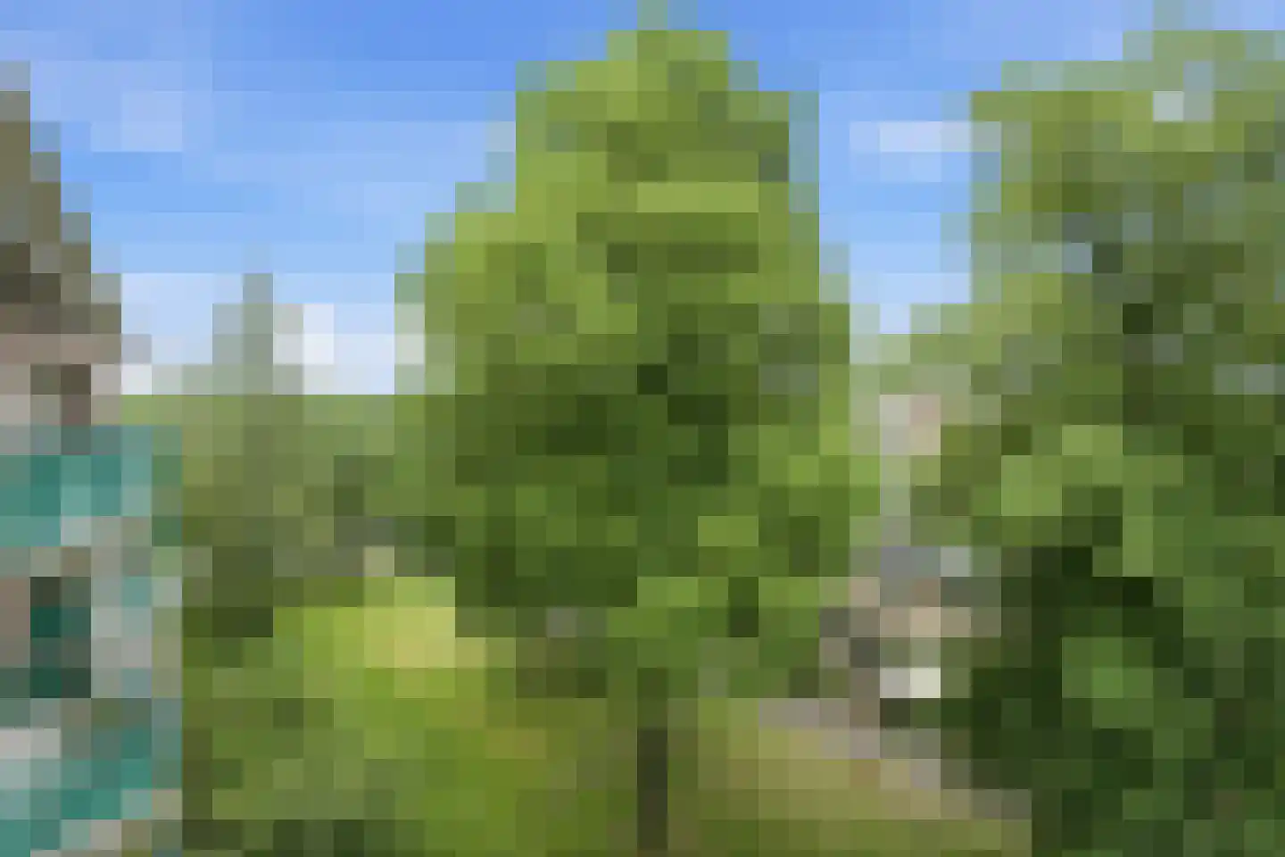 Esplanade de Meer 122 Amsterdam thumbnail 9