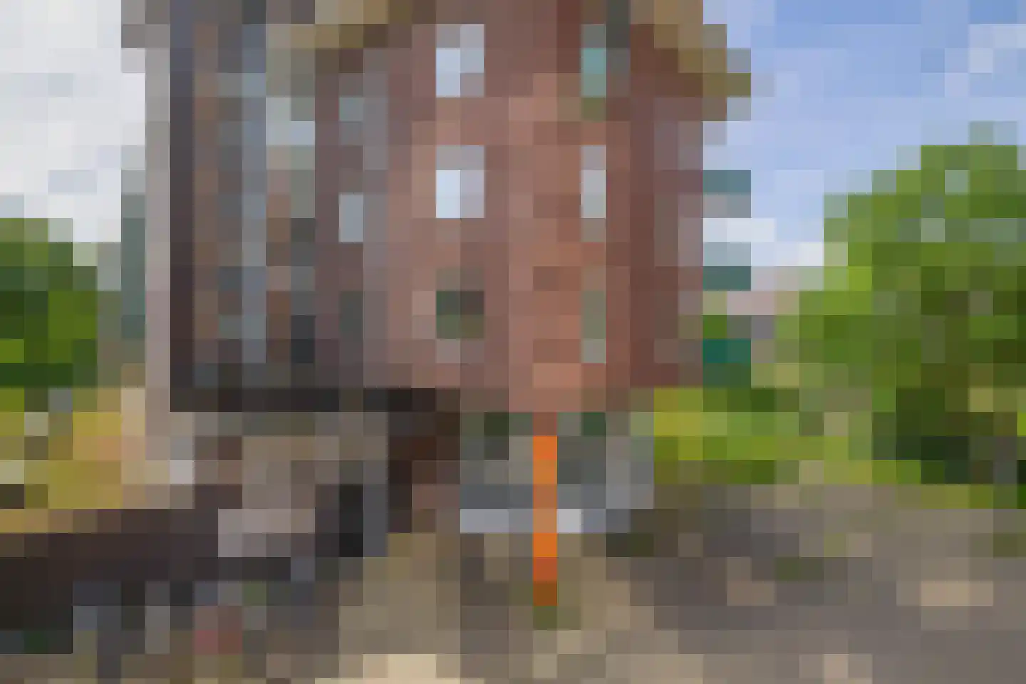 Esplanade de Meer 18 Amsterdam thumbnail 33