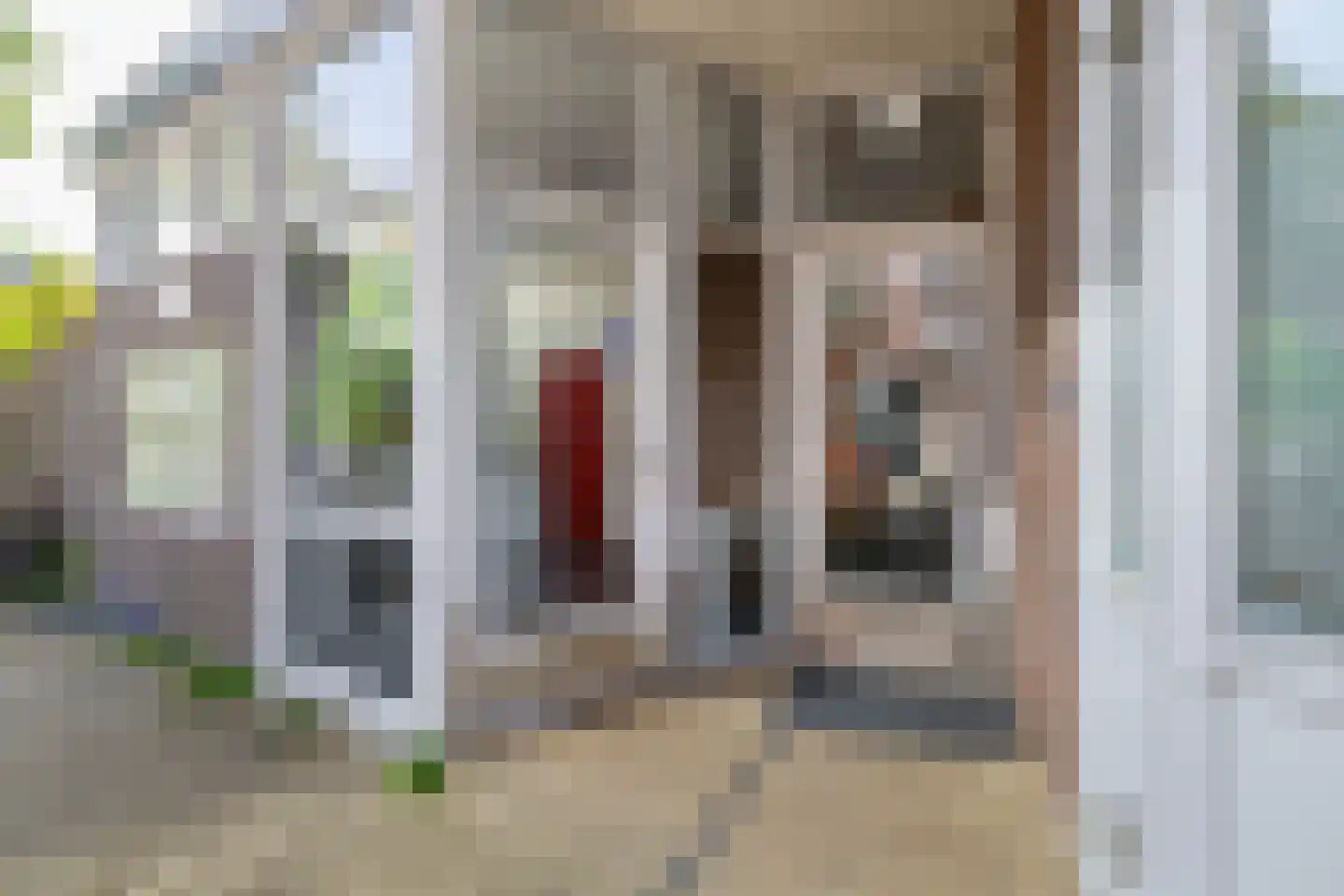 Esplanade de Meer 18 Amsterdam thumbnail 6