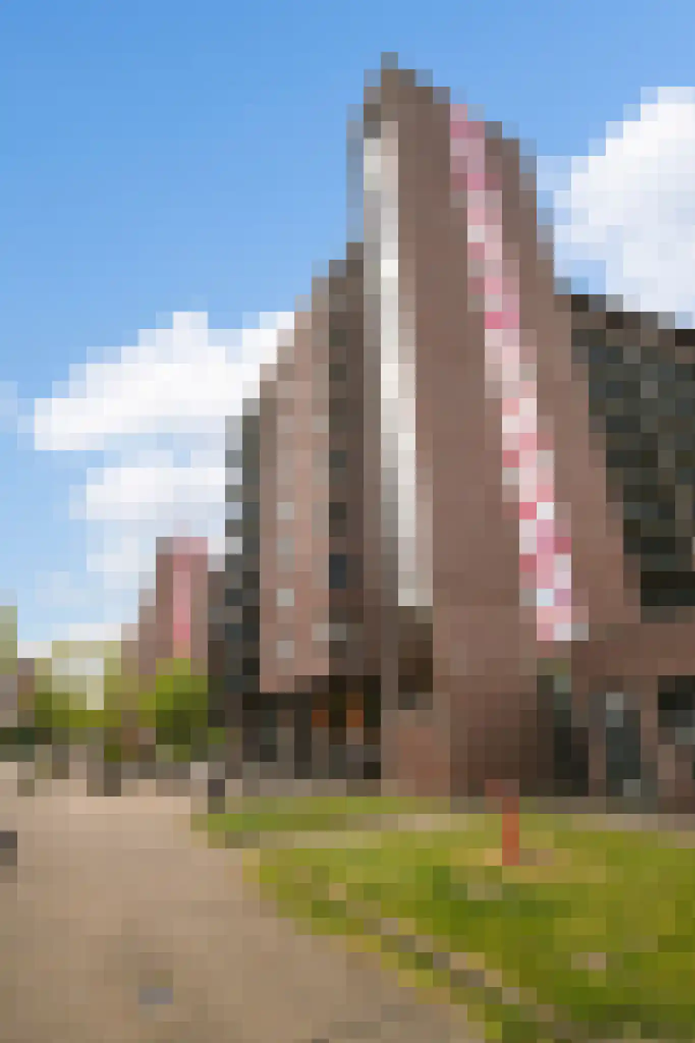 Esplanade de Meer 273 Amsterdam thumbnail 33
