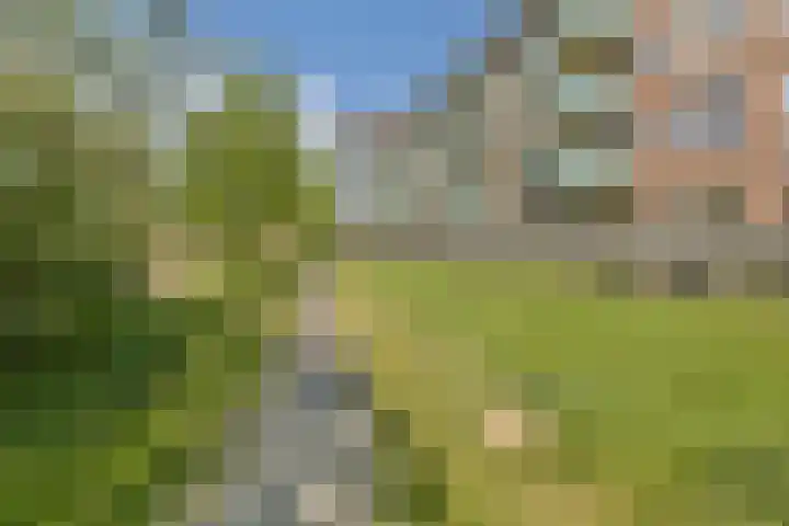 Esplanade de Meer 32 Amsterdam thumbnail 28