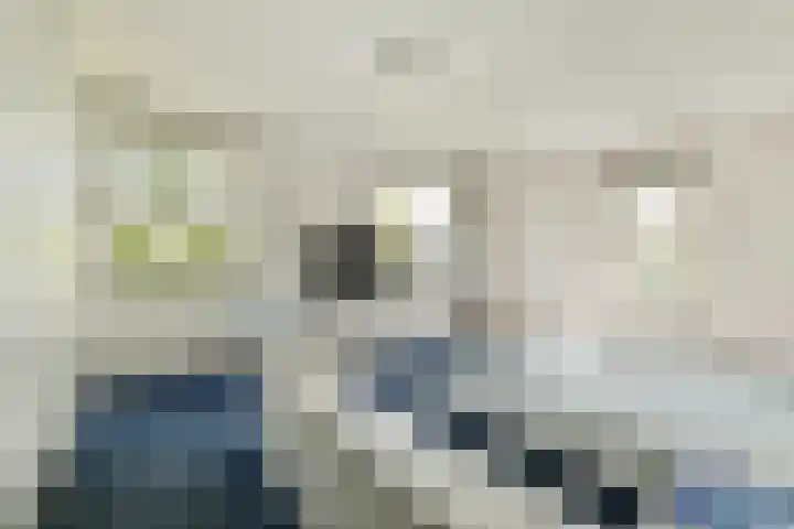 Esplanade de Meer 32 Amsterdam thumbnail 8