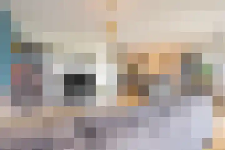 Esplanade de Meer 46 Amsterdam thumbnail 14