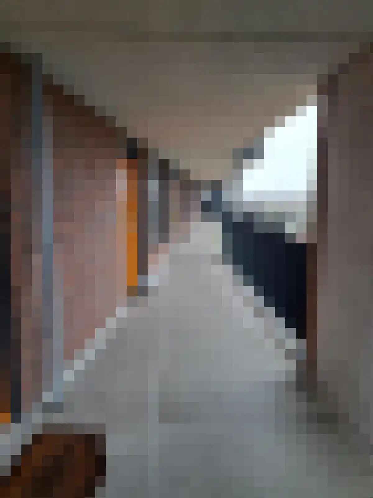 Esplanade de Meer 63 Amsterdam thumbnail 4
