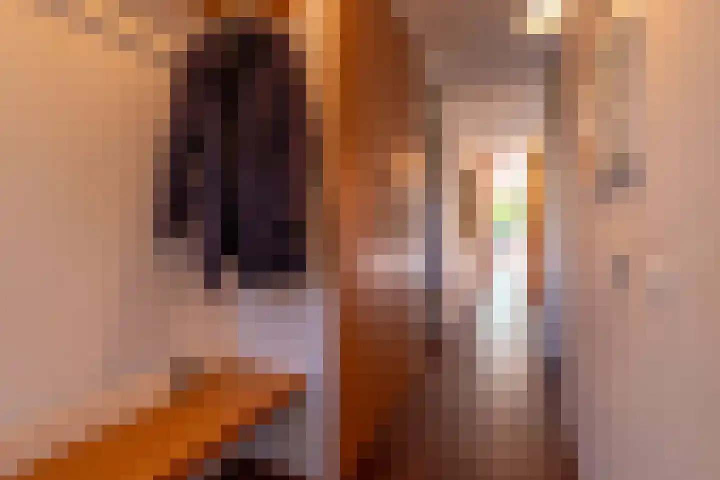 Esplanade de Meer 74 Amsterdam thumbnail 28