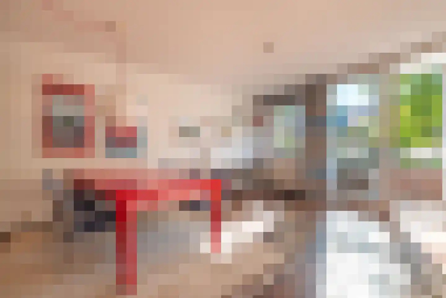 Esplanade de Meer 74 Amsterdam thumbnail 9