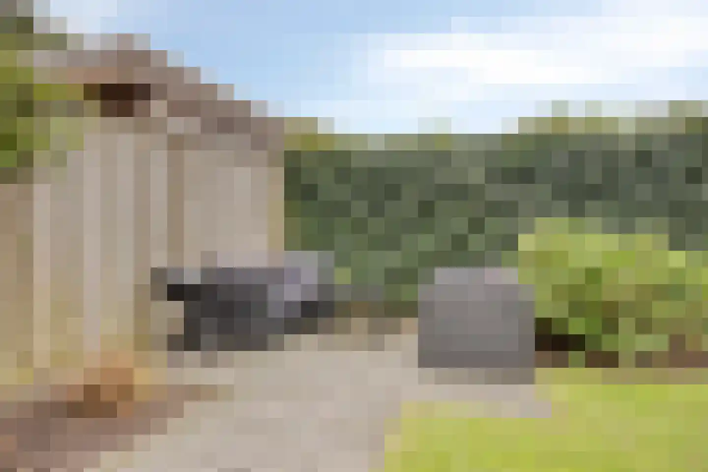 Esrand 12 Nuenen thumbnail 24