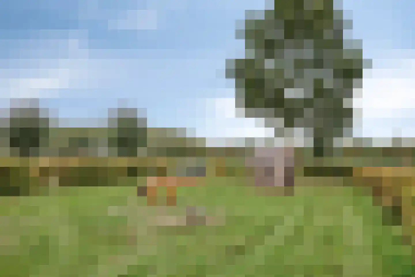 Esrand 12 Nuenen thumbnail 26