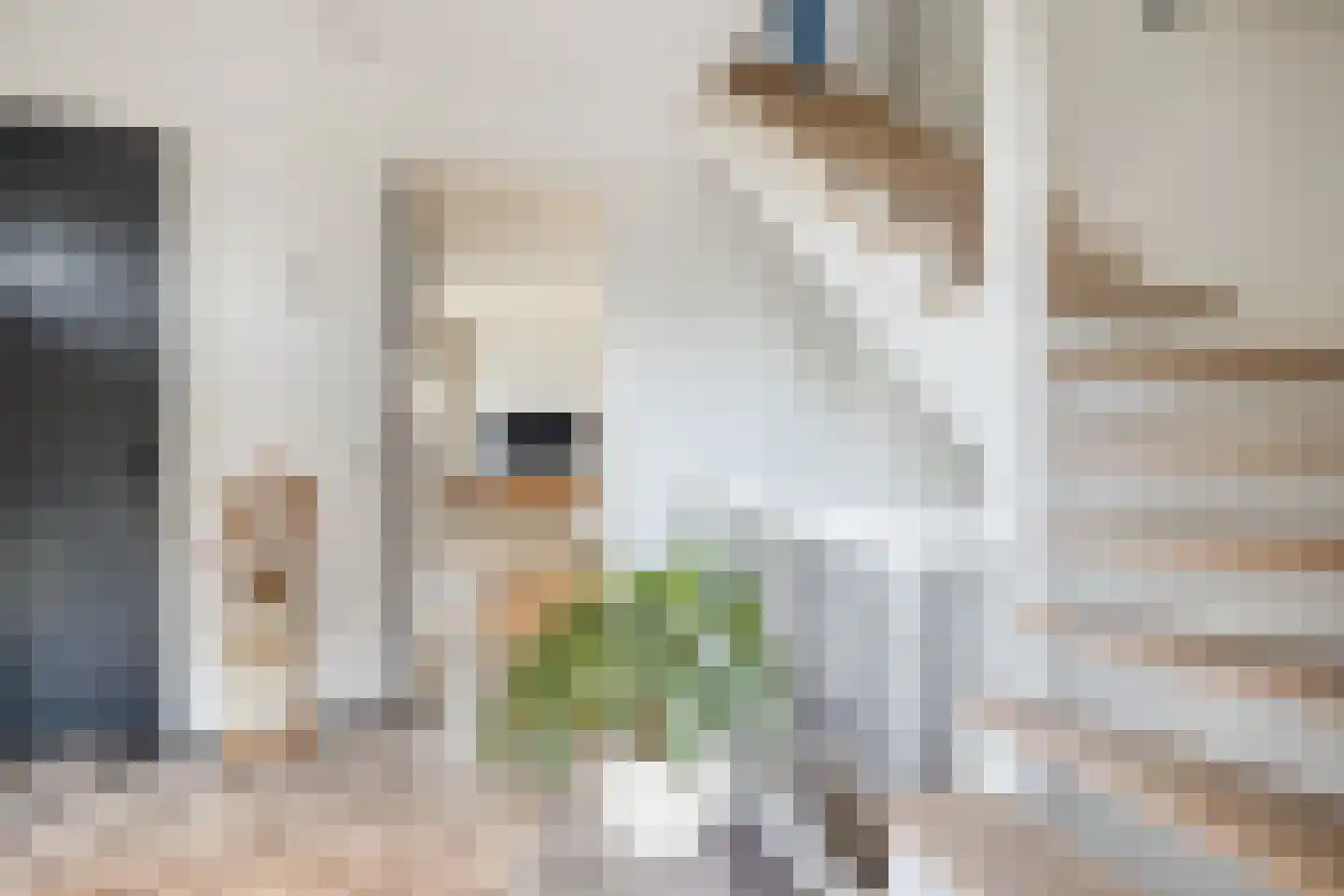 Esrand 2 Deurningen thumbnail 11