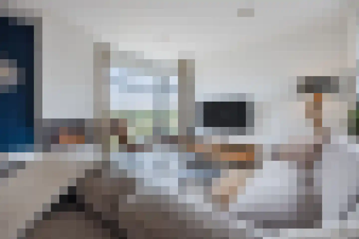 Esrand 2 Deurningen thumbnail 16