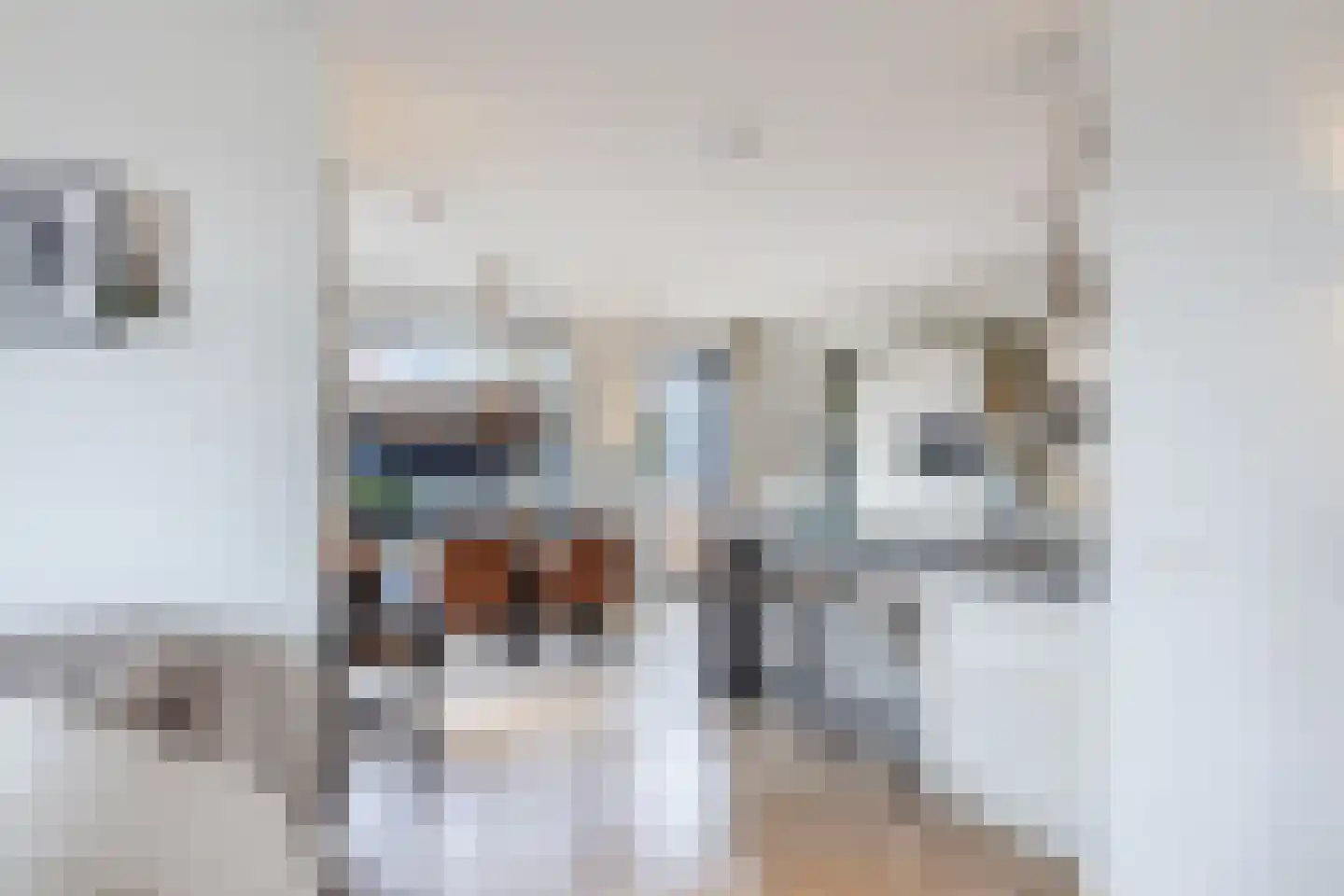 Esrand 2 Deurningen thumbnail 19