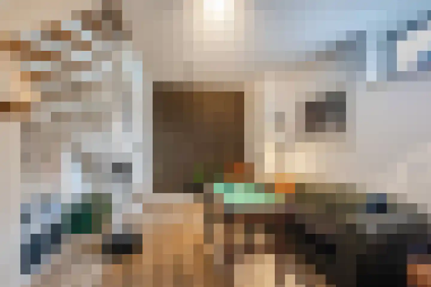 Esrand 2 Deurningen thumbnail 31