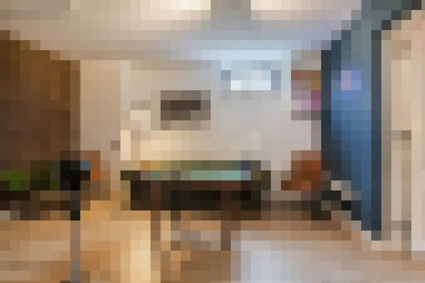 Esrand 2 Deurningen thumbnail 32