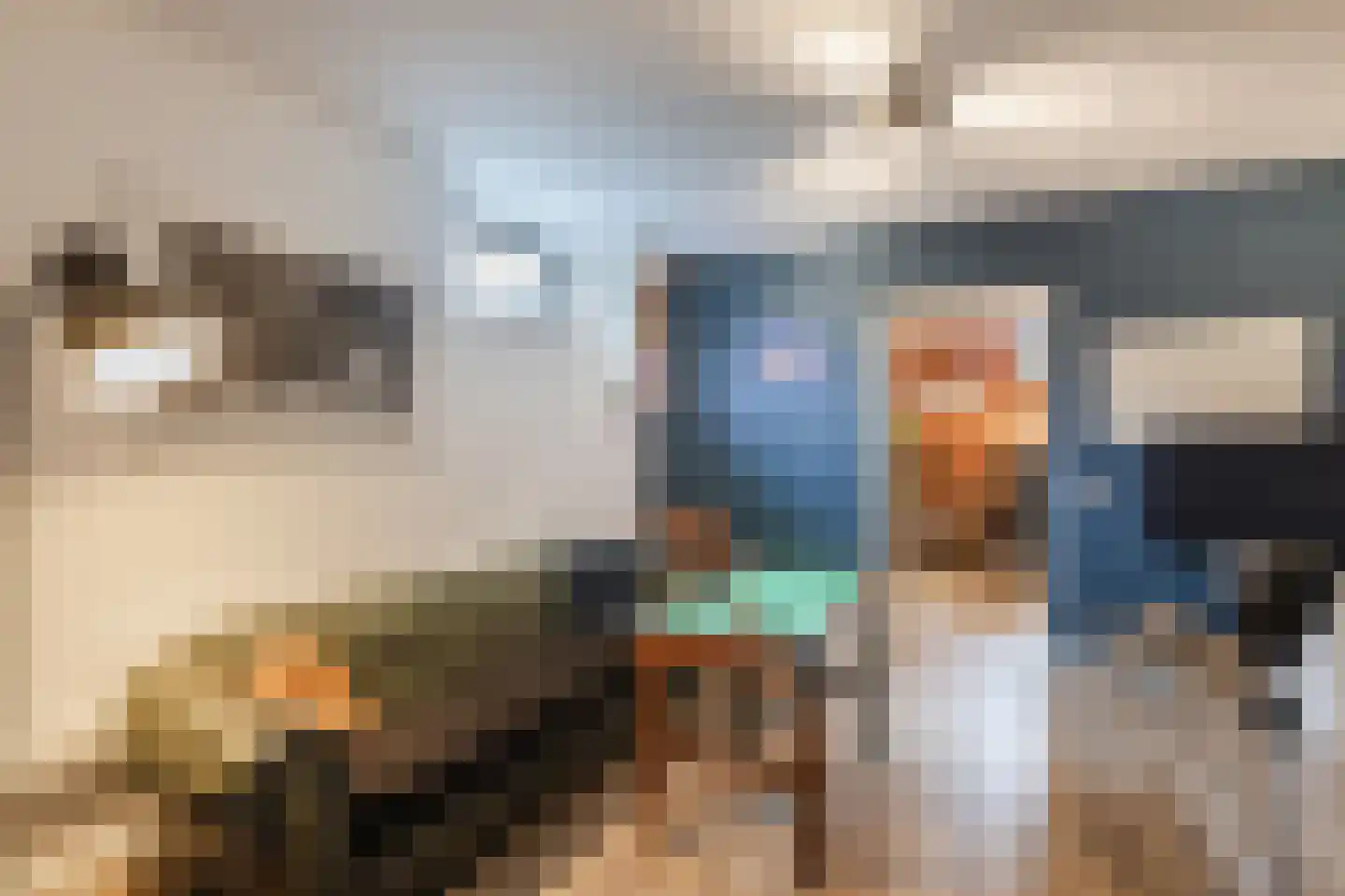 Esrand 2 Deurningen thumbnail 33