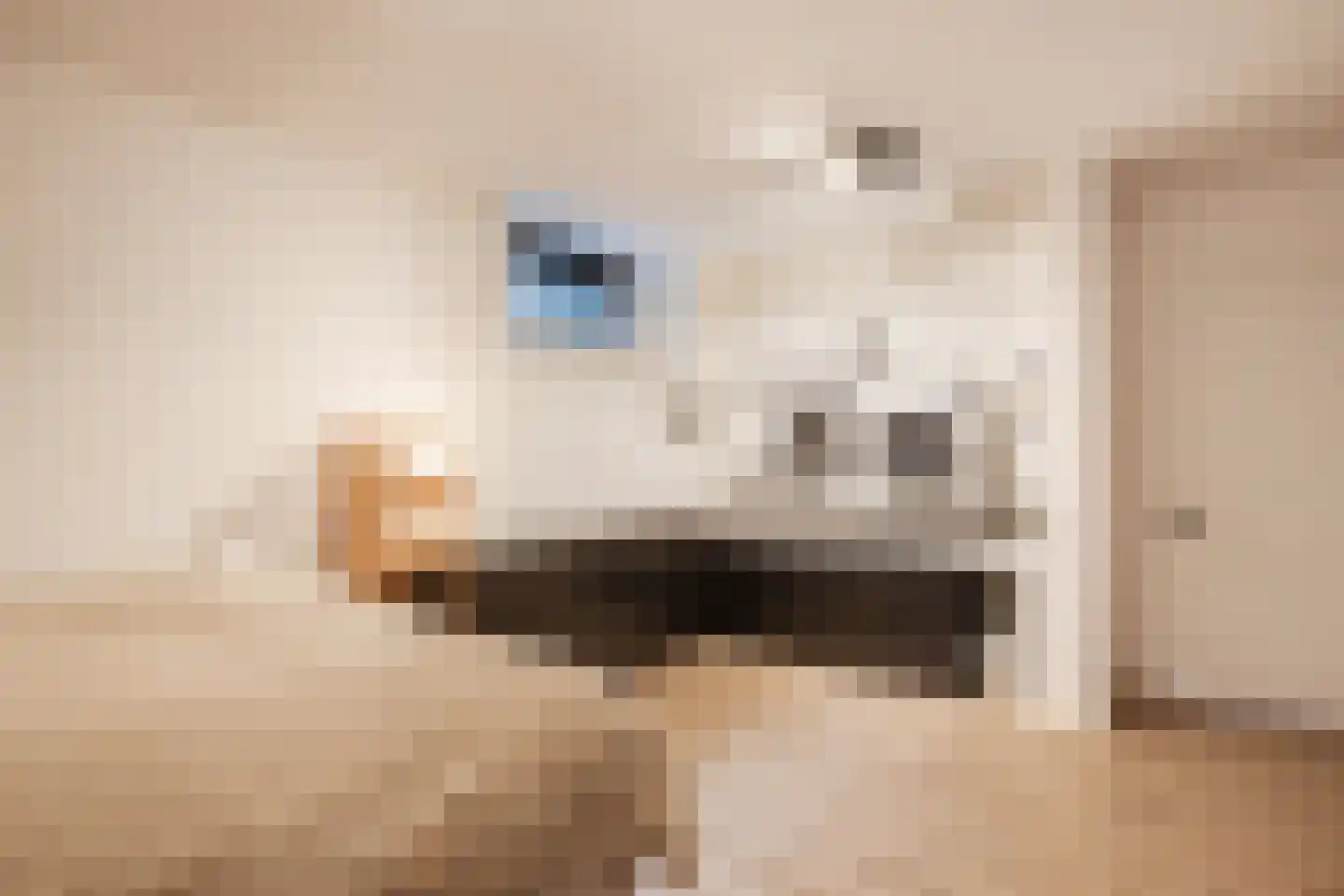 Esrand 2 Deurningen thumbnail 37