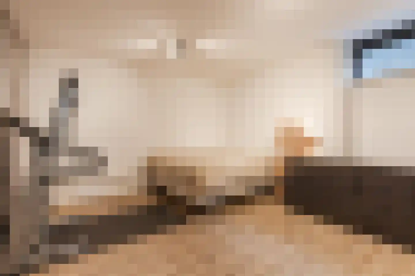 Esrand 2 Deurningen thumbnail 38