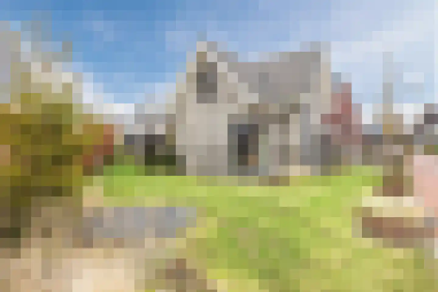 Esrand 2 Deurningen thumbnail 4