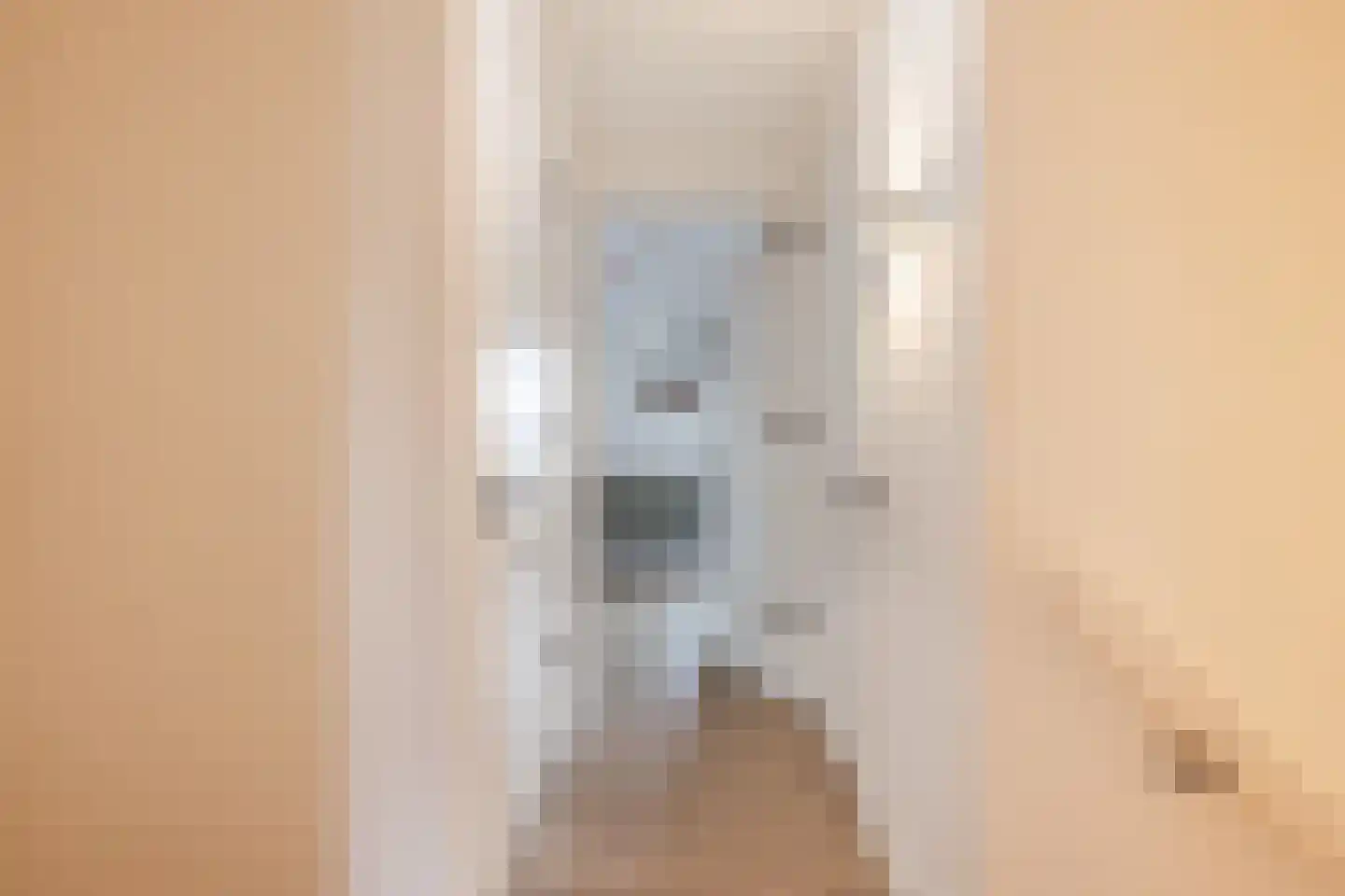 Esrand 2 Deurningen thumbnail 41