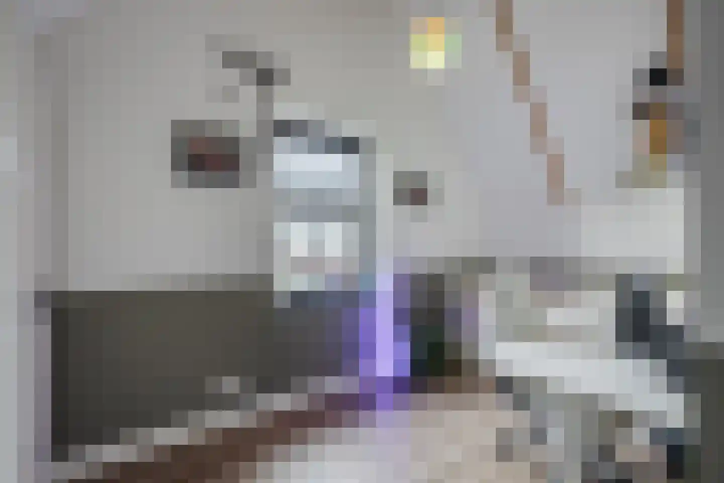 Esrand 2 Deurningen thumbnail 43