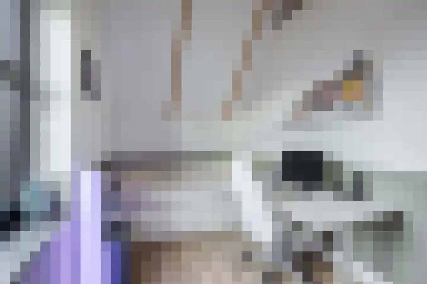 Esrand 2 Deurningen thumbnail 44