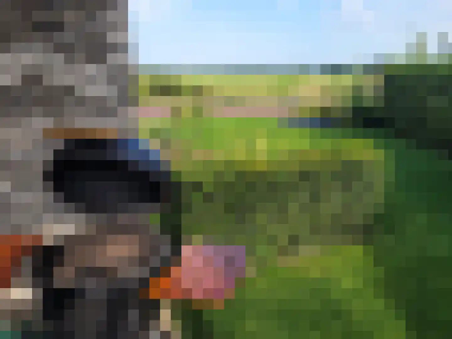 Esrand 2 Deurningen thumbnail 5