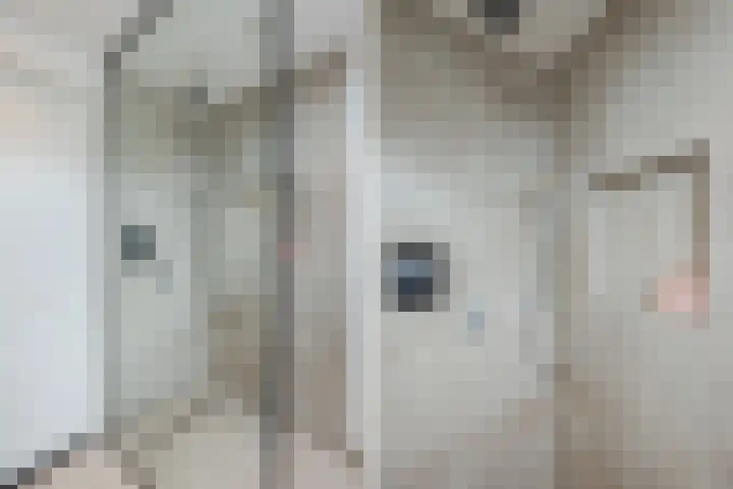 Esrand 2 Deurningen thumbnail 57