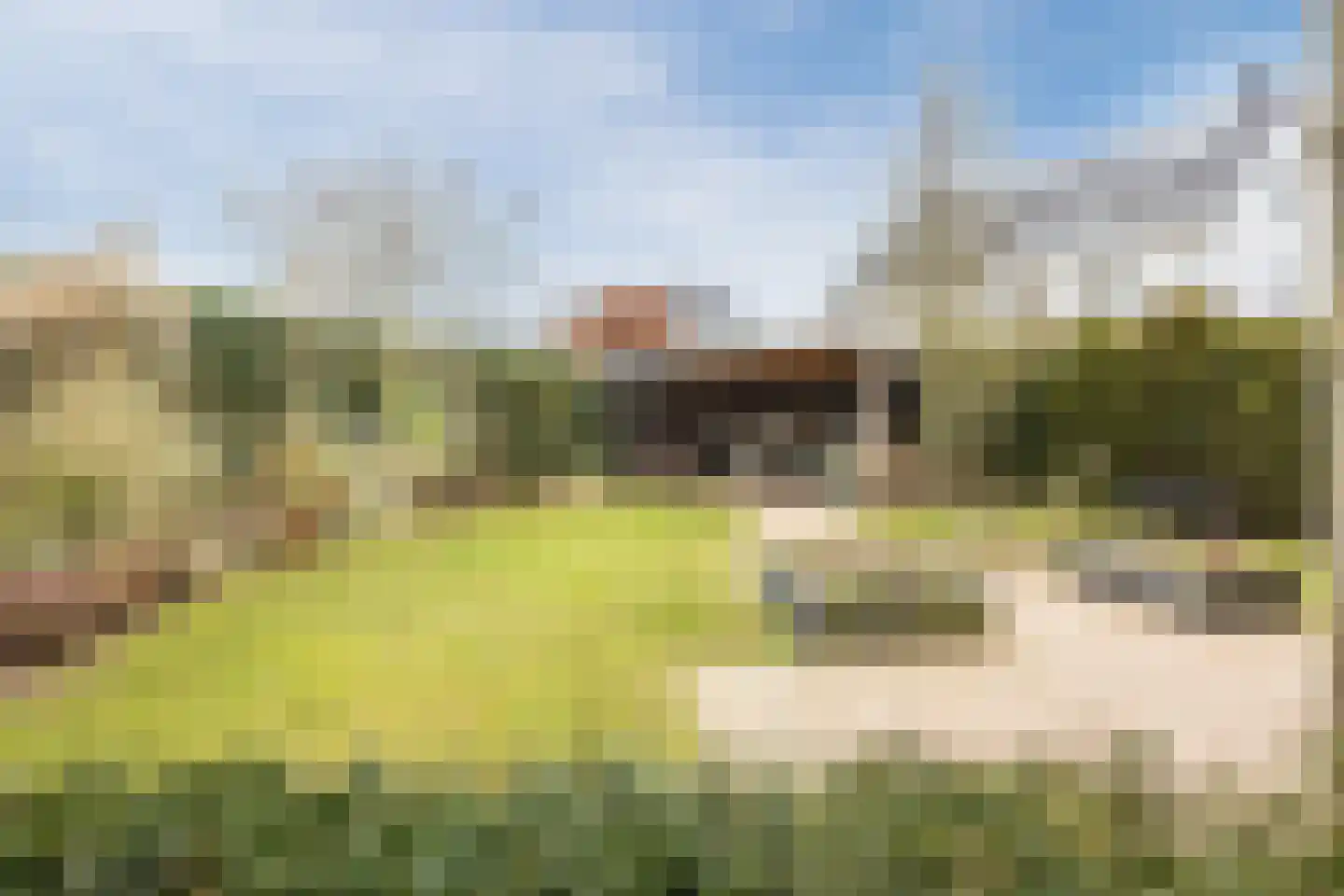 Esrand 2 Deurningen thumbnail 63
