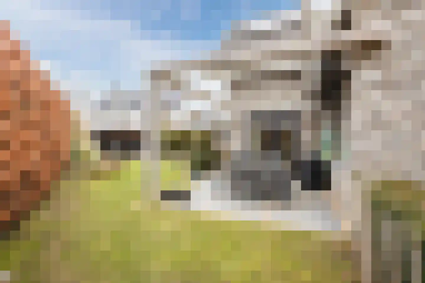 Esrand 2 Deurningen thumbnail 67